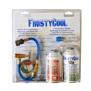 FrostyCool 12a Recharge & Metal Sealer Kit
